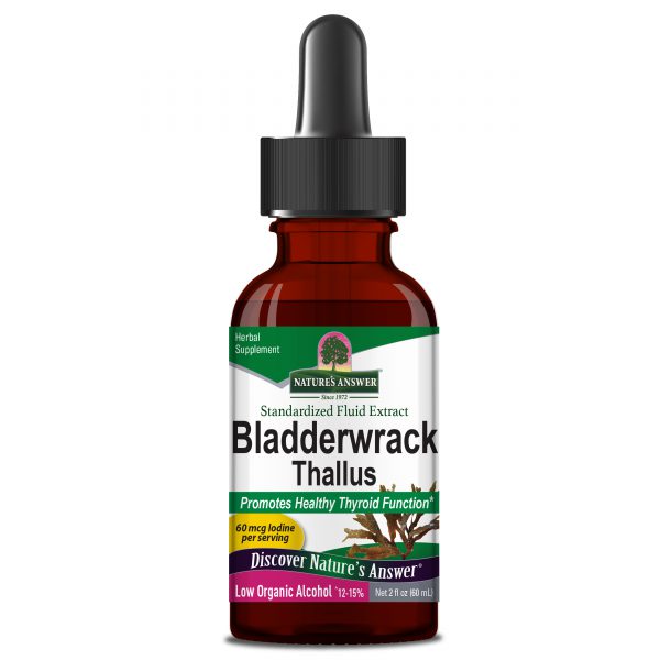 bladderwrack-thallus